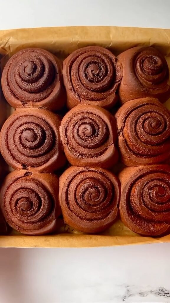 Chocolate Cinnamon Rolls with Nutella Icing