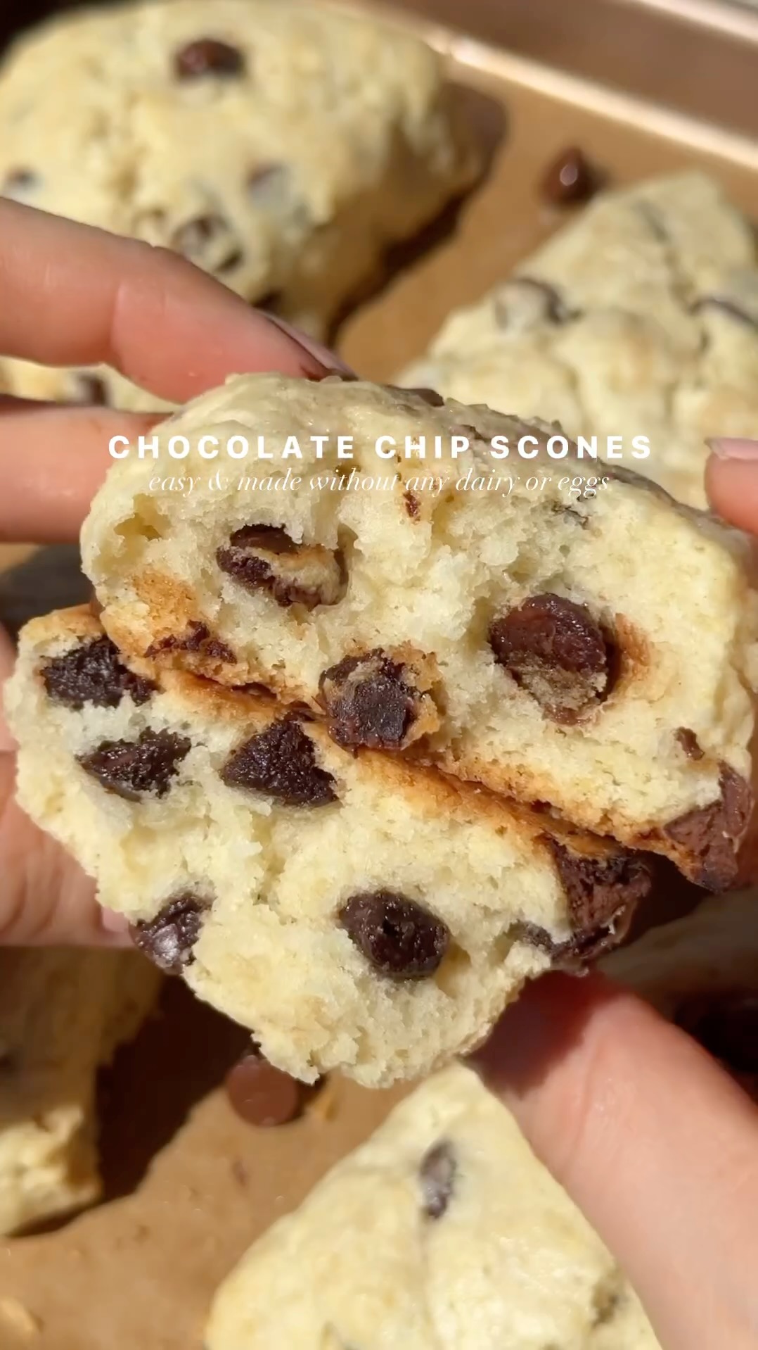 Chocolate Chip Scones