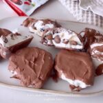 Chocolate Covered Berry Yoghurt Bites