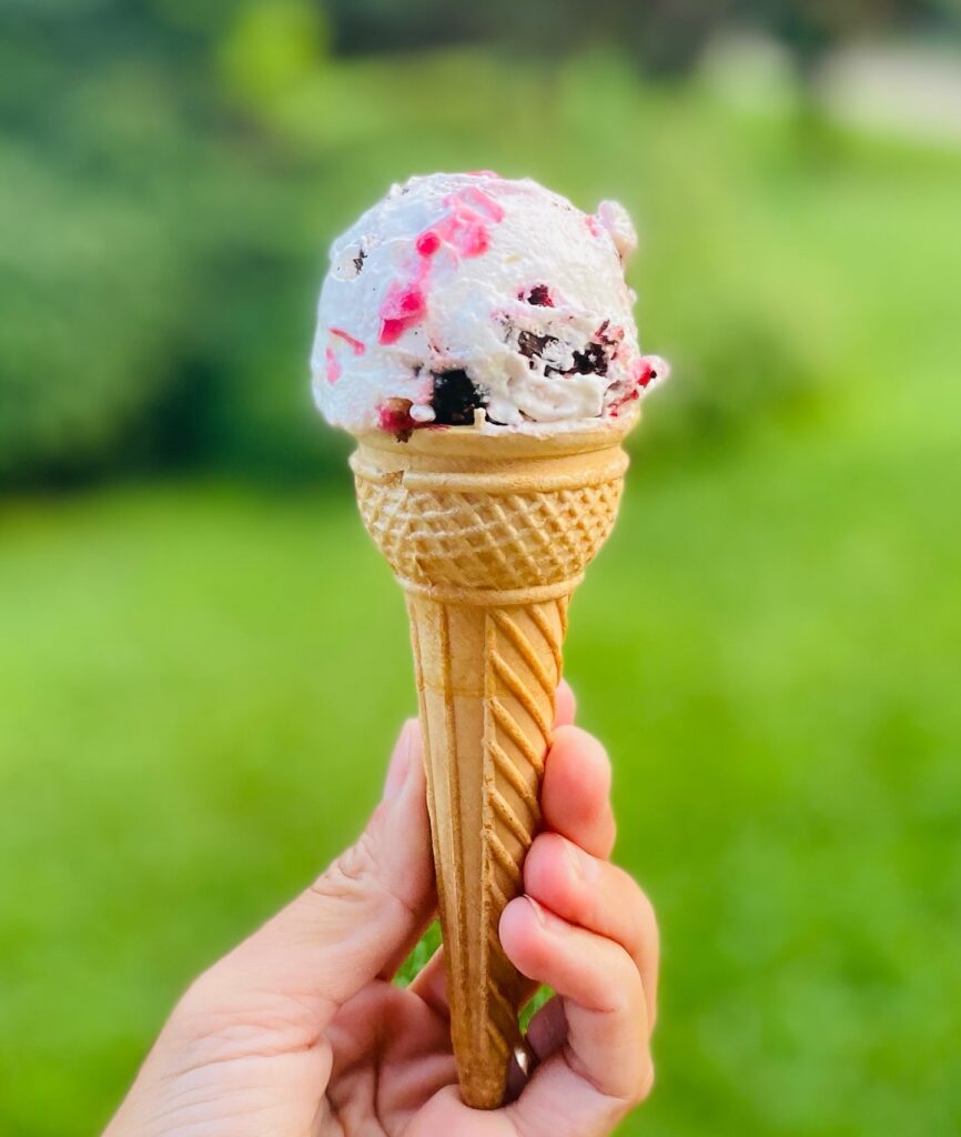 Cherry and Chocolate Flake Ice Cream