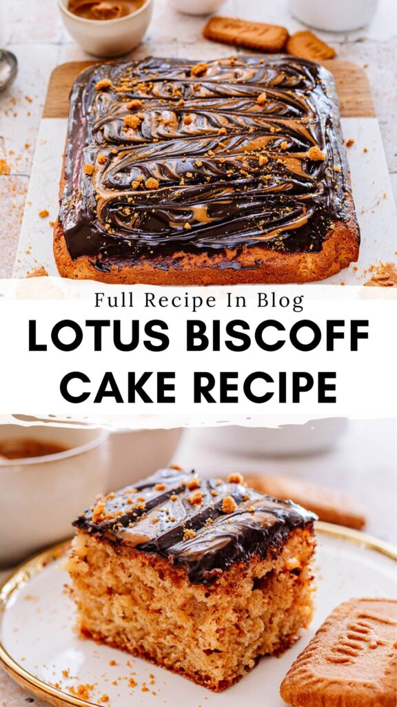 Chocolate Cream Biscoff Cake Recipe