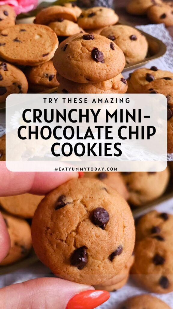 Crunchy Mini-Chocolate Chip Cookies Recipe