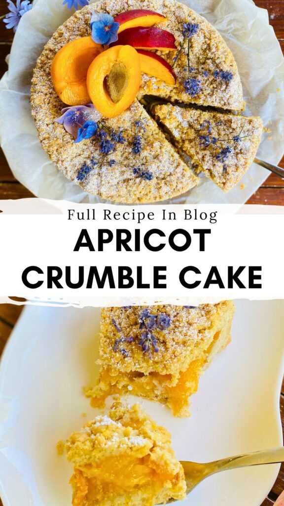 Gourmet Peach and Apricot Crumble Cake